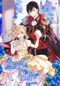 Cat prince’s bride