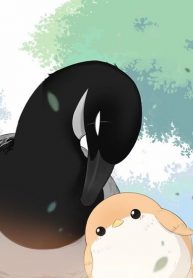 Southern Bird and Northern Bird