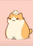 Mao daily