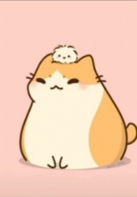 Mao daily