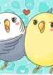 A Budgie’s life