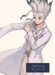 Dr.stone-fan art