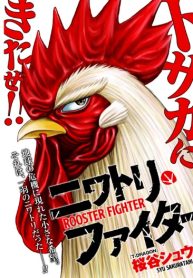 Rooster Fighter