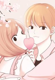 Pink blossoming