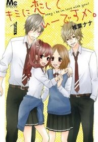 Kimi ni Koishitei desu ka.