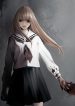 large_33163l