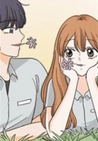 large_cover