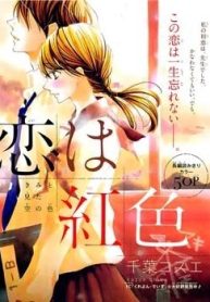 large_koi-wa-beniiro