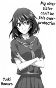 Infinite Stratos – My Older Sister Can’t Be This Overprotective (Doujinshi)
