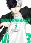 Wind Breaker