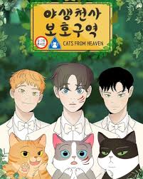 Cats From Heaven