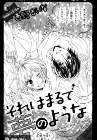 Sore wa Maru de Yume no You na