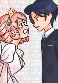 stop The Wedding