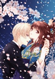 Meiji Roman Storia