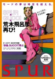 large_Spur_Jolyne