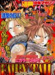 large_fairy-tail-special-4830877