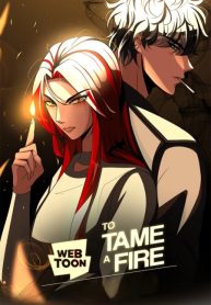 To Tame A Fire (new version)