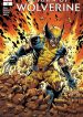 large_clean