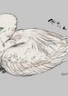 A Little Story About a Fish Thief Who Steals With Impunity