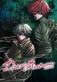 Dear Anemone